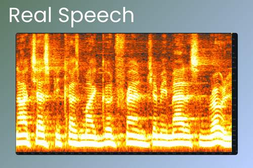Spectrogram Real Speech