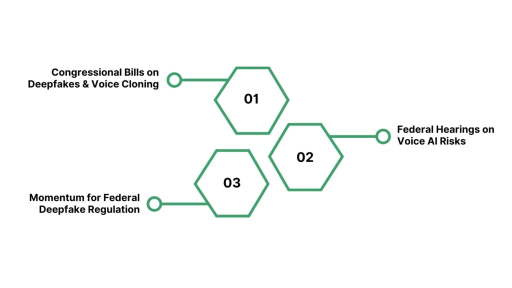 Recent U.S. Legal Updates (2024–2025)